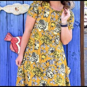 Lularoe Carly Dresses